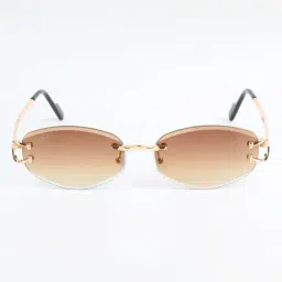 Ted Smith Brown UV Protection Oval Unisex Sunglasses image 2