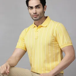 Blackberrys Men Striped Polo Collar T-shirt-picture-29