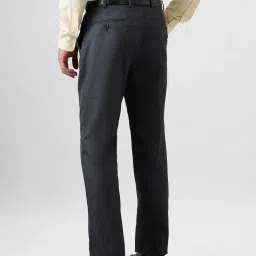 Park Avenue Blue Regular Fit Self Pattern Trousers image 2
