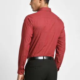 Peter England Red Slim Fit Checks Shirt image 2