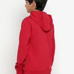 Lil Tomatoes Boys Light Weight Cotton Looper Sweatshirt image 2