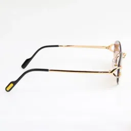 Ted Smith Brown UV Protection Oval Unisex Sunglasses image 4