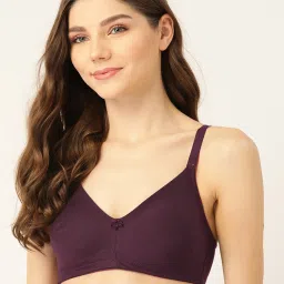 Lady Lyka Multicolor Non Wired Non Padded T-Shirt Bra (Pack Of 2) image 4