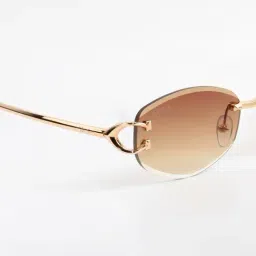 Ted Smith Brown UV Protection Oval Unisex Sunglasses image 5