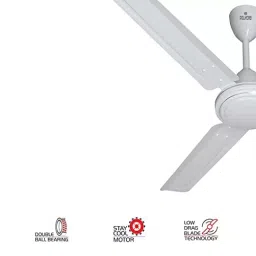 Polycab Annular White 1200 mm Ceiling Fan FCESEST043M image 4