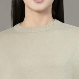 Red Tape Pale Olive Regular Fit Sweater image 5