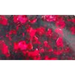 Lakme Color Crush Nail Art G4 - 6 ml image 5