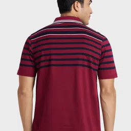 Colorplus Maroon Cotton Regular Fit Striped Polo T-Shirt image 2