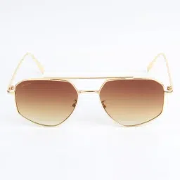 Ted Smith Brown UV Protection Aviator Unisex Sunglasses image 2