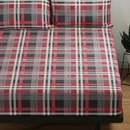 BIANCA Platinum Red & Black Cotton 144 TC Double Size Bed Sheet With Pillow covers image 2