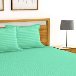 Bianca Hilton Spear Mint Cotton 210 TC King Bedsheet with Pillow Cover and Pillow image 2