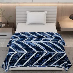 Monte Carlo Legacy-Sb Blue Polyester Printed 290 GSM Single Blanket image 2