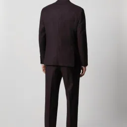 Van Heusen Purple Slim Fit Checks Two Piece Suit image 2