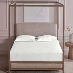 DDecor White Cotton 300TC Geometric Bedsheet with 2 Pillow Cover-picture-29