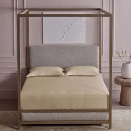 DDecor Beige Cotton 300TC Geometric Bedsheet with 2 Pillow Cover-picture-10