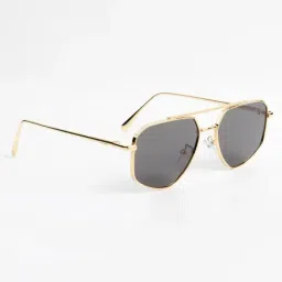 Ted Smith Black UV Protection Aviator Unisex Sunglasses image 3