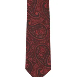 Allen Solly Maroon Printed Formal Tie image 2