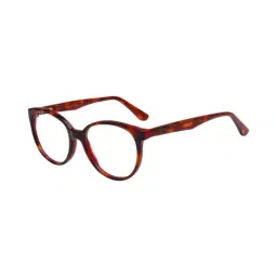Ted Smith Havana Round Unisex Eyewear Frames-picture-47