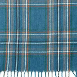 Mafadeny Peacock Regular Fit Chequered Stole image 3
