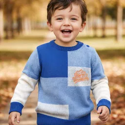 Babyhug Knit Full Sleeves Pullover Sweater with Color Block & Text Embroidery - Blue-picture-30