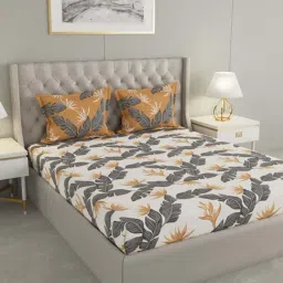 Raymond Home Camphor Grey & Brown 144 TC Cotton Queen Bedsheet with 2 Pillow Covers-image-86