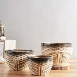 Tayhaa Beige Ceramic Planter Pot - Set of 3-image-53