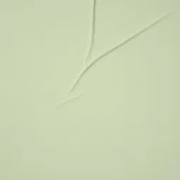 DDecor Green Cotton 180TC Bedsheet with 2 Pillow Cover image 5