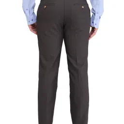 Park Avenue Brown Regular Fit Checks Trousers image 2