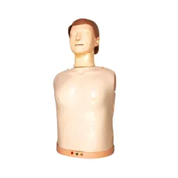 A-ONE SCIENCE PVC Half Body CPR Training Manikin With Light And Sound AOSBM309 image 3