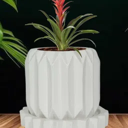 LASAKI Kavira White Ceramic Handmade Planter With Plate-picture-25