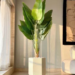 Mason Home Ivory Busa Hexagonal Planter image 2