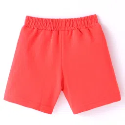 Tango Looper Knit  Knee length Shorts With Skate Print - Red image 2