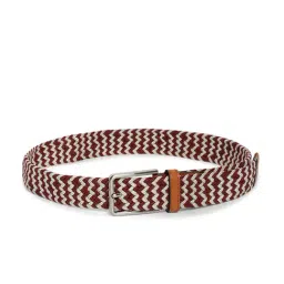 Carlton London Multicolor Leather Textured Casual Belt for Men-image-4