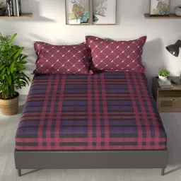 NAUTICA Pacific Coast Red & Grape Cotton 160 TC King Bedsheet with 2 Pillow Cover image 2