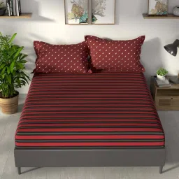 NAUTICA Pacific Coast Rust & Denim Cotton 160 TC King Fitted Bedsheet with 2 Pillow Cover image 2