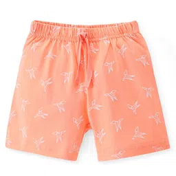Babyhug Cotton Knit Shorts Paper Plane Print - Orange-image-16