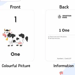 Aditi Toys Spartan Kids Educational Flash Cards for Kids Early Preschool Learning Flash Cards Easy & Fun Way of Learning 1 Year to 6 Years kid Pack 27 Cards (Pack of 5) image 4