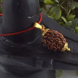 ADMIER Unisex Gold-Plated 3 Mukhi Nepali Rudraksha Beaded Pendant with Chain-picture-53