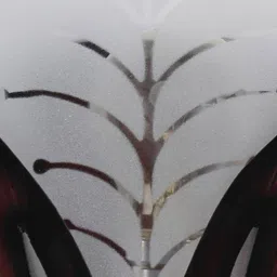 devansh Quenna Brown Glass Wall Light image 3