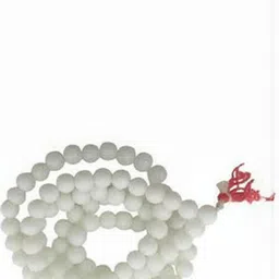 RAVIOUR LIFESTYLE Synthetic Necklace image 1