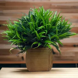 Dekorly Green Plastic Dekorly Artificial Flowers & Plants With Pot image 2