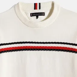 Tommy Hilfiger Boys Striped Pure Cotton Pullover image 3