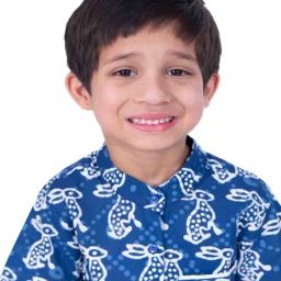 Twisha Boys Indigo Cotton Regular Fit Printed Shirt-picture-31