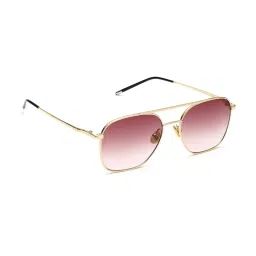 SCOTT Brown Round Sunglasses for Men image 2