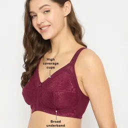Clovia Maroon T-Shirt Bra image 3