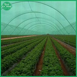 B K JAGAN & CO 10 x 12 Ft polyethylene Green Multi-Purpose Shade Net-picture-20