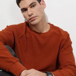 The Roadster Life Co. Self Design Raglan Sleeves Sweatshirt-picture-34