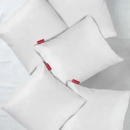 BIANCA Fluffy Micro-Fiber Cushion Insert-Filler -5pc 16 X16 (allergy guard) solid-white-picture-11