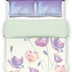 DDecor Primary White 136 TC Comforter - Set of 1 image 2