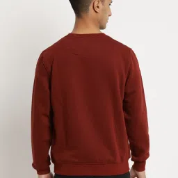 Turtle Red Regular Fit Printed Sweatshirt image 2